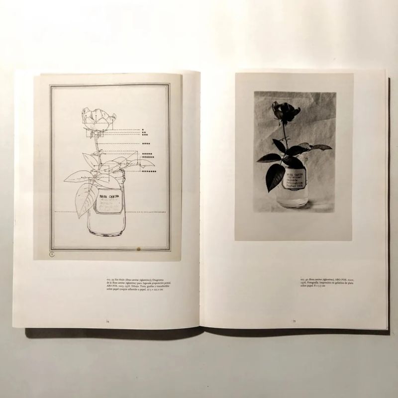 ACUMULAR, CLASIFICAR, PRESERVAR, EXHIBIR - ARCHIVO ROBERTO OBREGON (TD) (Nuevo) - Miniatura 6