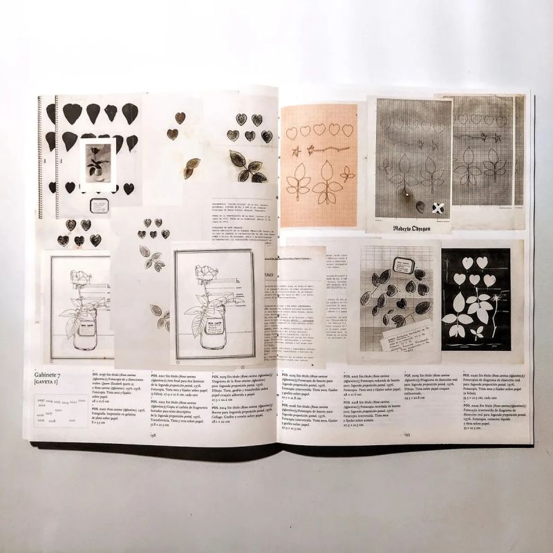 ACUMULAR, CLASIFICAR, PRESERVAR, EXHIBIR - ARCHIVO ROBERTO OBREGON (TD) (Nuevo) - Miniatura 10