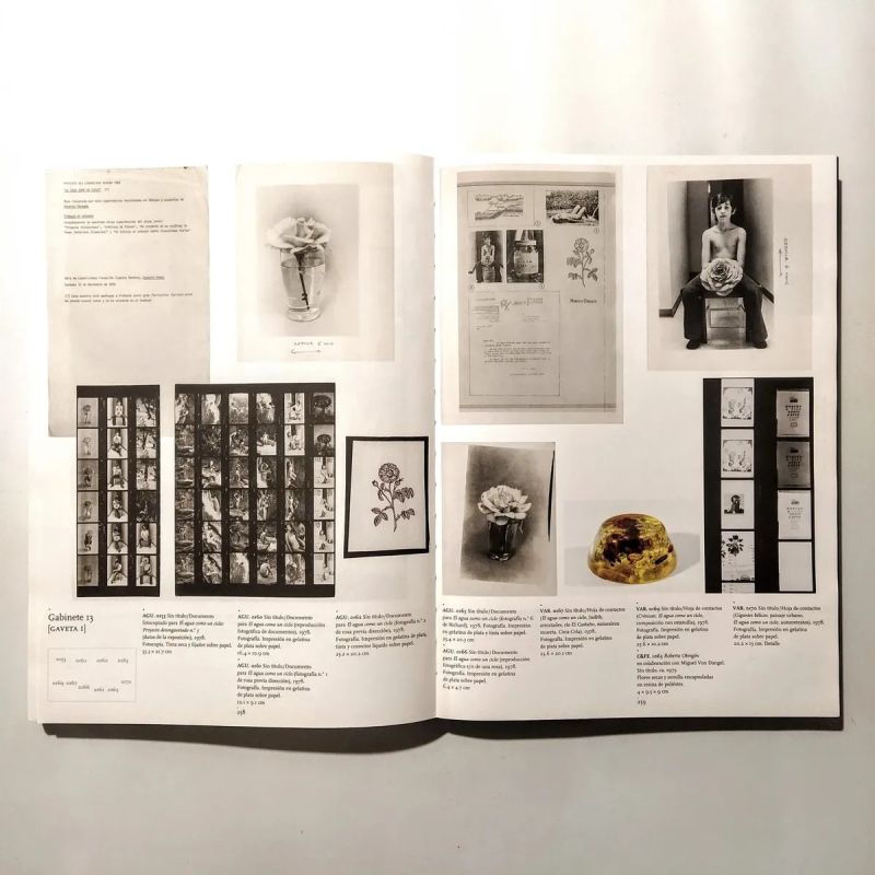 ACUMULAR, CLASIFICAR, PRESERVAR, EXHIBIR - ARCHIVO ROBERTO OBREGON (TD) (Nuevo) - Miniatura 12