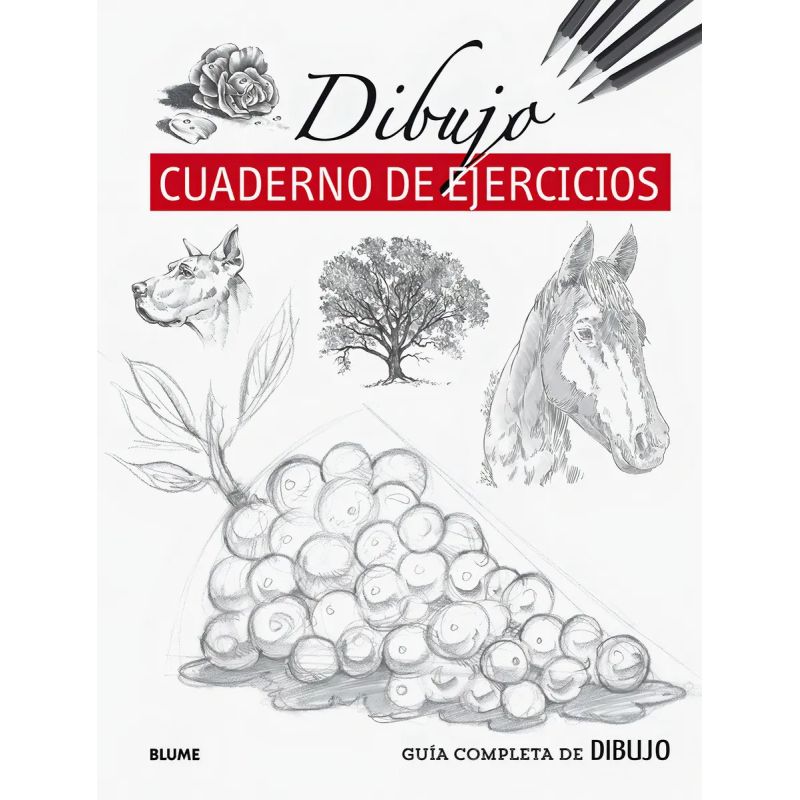 DIBUJO - CUADERNO DE EJERCICIOS (Nuevo)