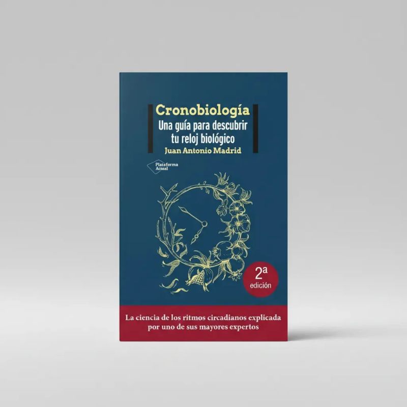 CRONOBIOLOGIA - UNA GUIA PARA DESCUBRIR TU RELOJ BIOLOGICO (Nuevo) - Miniatura 4