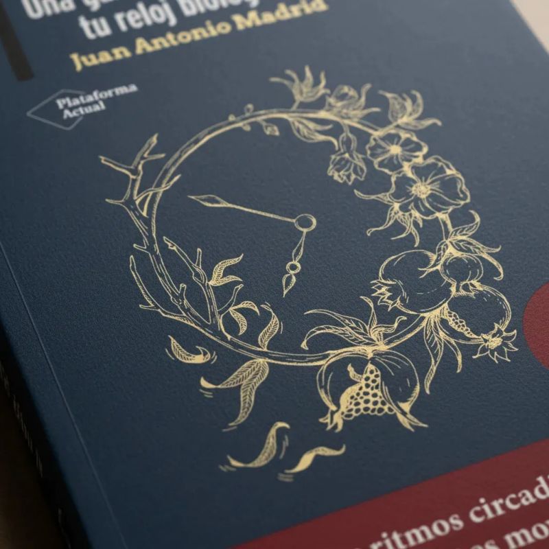 CRONOBIOLOGIA - UNA GUIA PARA DESCUBRIR TU RELOJ BIOLOGICO (Nuevo) - Miniatura 3