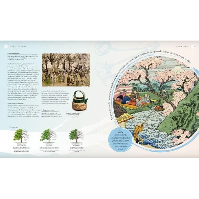 LIBRO DEL ARBOL, EL - TD - Miniatura 2