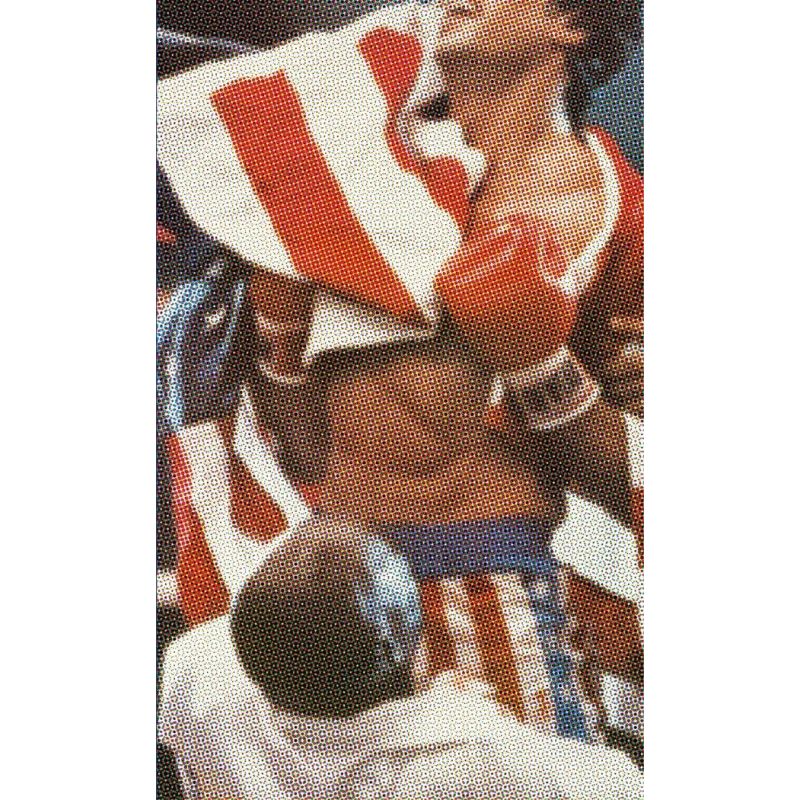 SYLVESTER STALLONE, HEROE DE LA CLASE OBRERA (Nuevo)