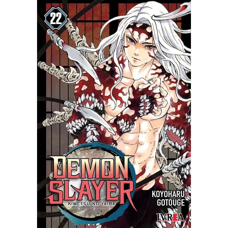 DEMON SLAYER - KIMETSU NO YAIBA 22
