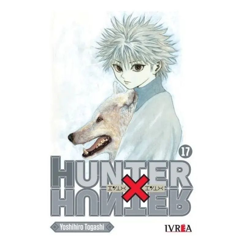 HUNTER X HUNTER 17 (Nuevo)