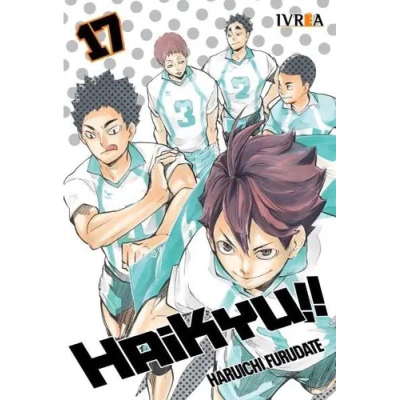 HAIKYU!! 17 (Nuevo)
