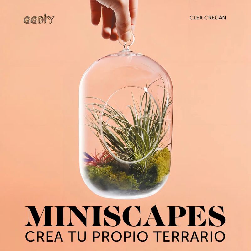 MINISCAPES - CREA TU PROPIO TERRARIO (Nuevo)