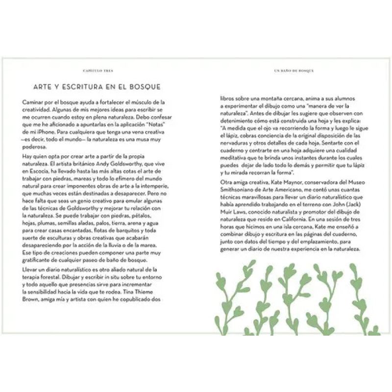 DISFRUTA DE UN BAÑO DE BOSQUE - CÓMO DESPEJAR TU MENTE Y TUS SENTIDOS - Miniatura 4