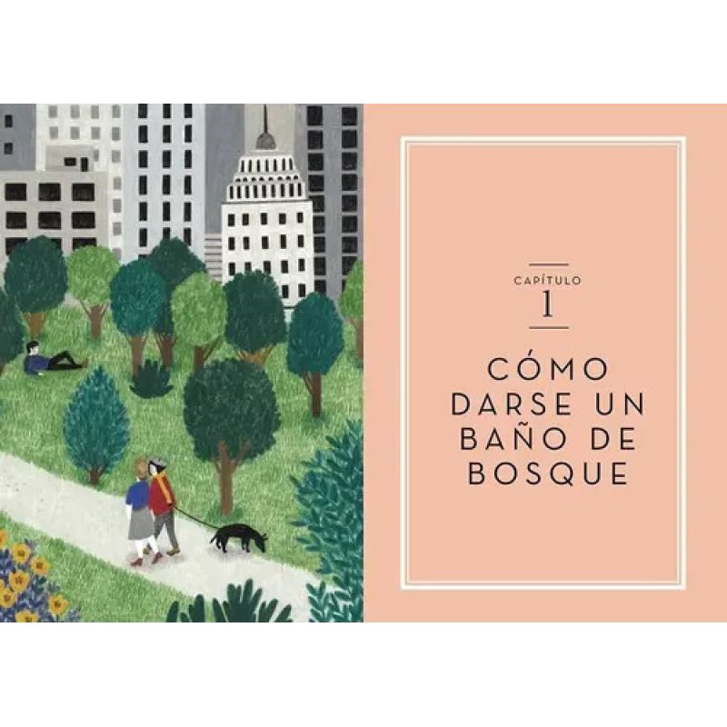 DISFRUTA DE UN BAÑO DE BOSQUE - CÓMO DESPEJAR TU MENTE Y TUS SENTIDOS - Miniatura 2