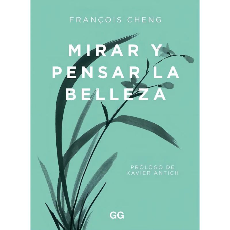 MIRAR Y PENSAR LA BELLEZA (Nuevo)