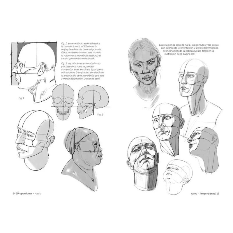 ANATOMIA ARTISTICA 10 (Nuevo) - Miniatura 2
