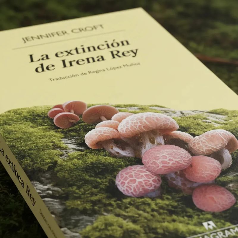 EXTINCION DE IRENA REY, LA (Nuevo) - Miniatura 2