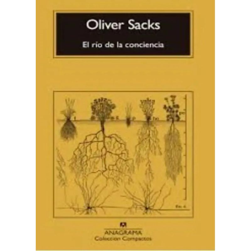 RIO DE LA CONCIENCIA, EL (Nuevo) - Miniatura 3