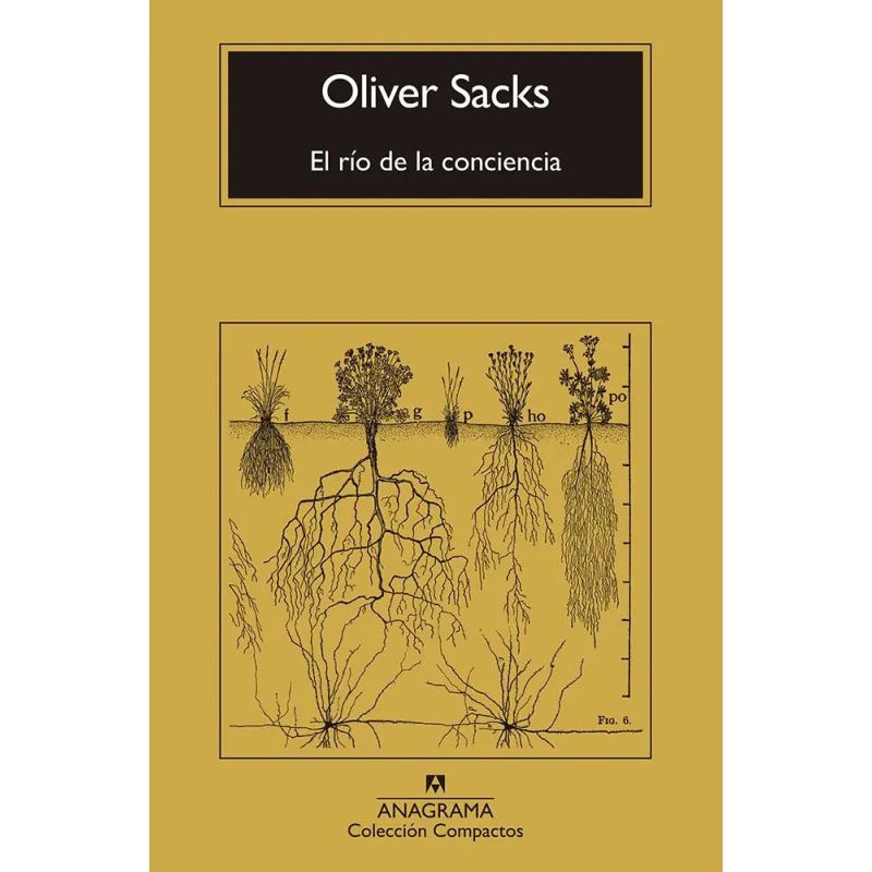 RIO DE LA CONCIENCIA, EL (Nuevo)
