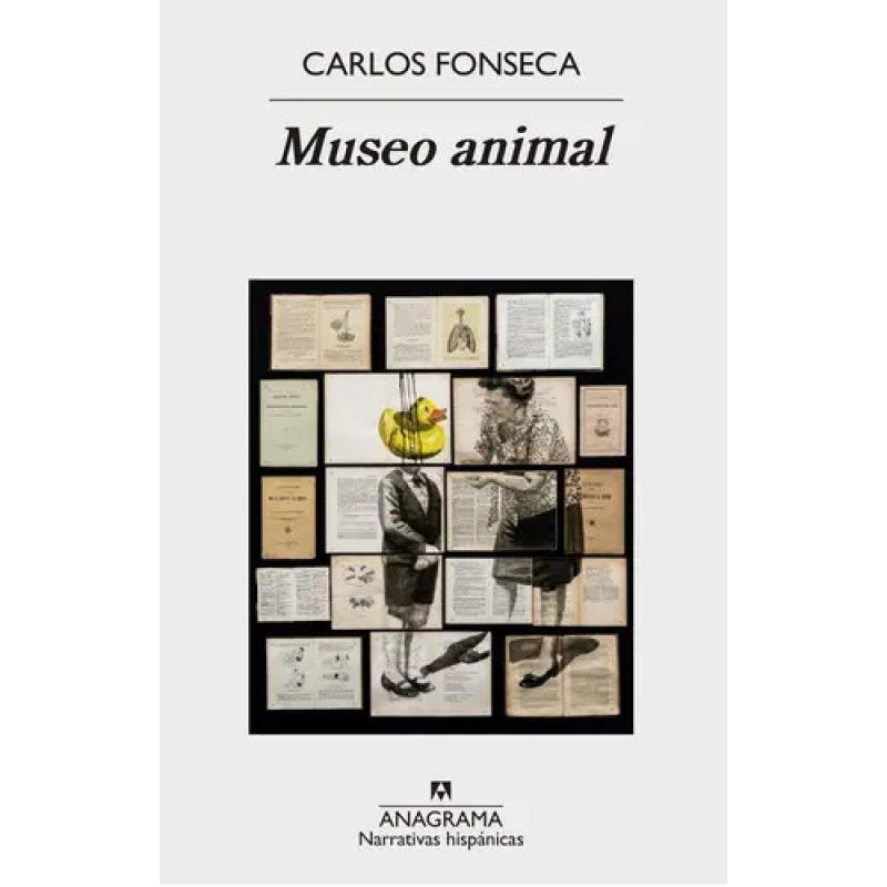 MUSEO ANIMAL (Nuevo)