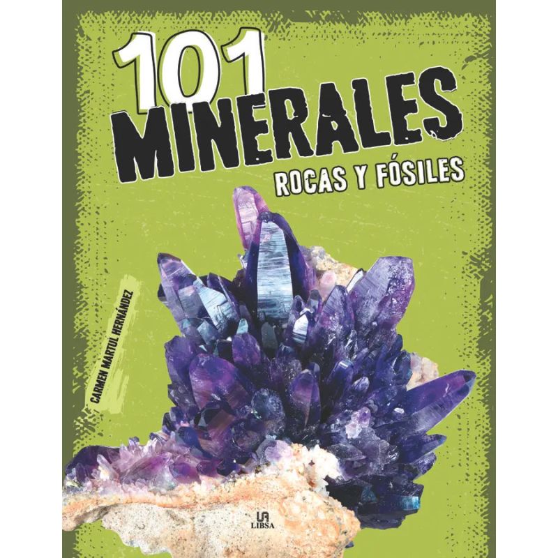 101 MINERALES, ROCAS, Y FOSILES - TD (Nuevo)