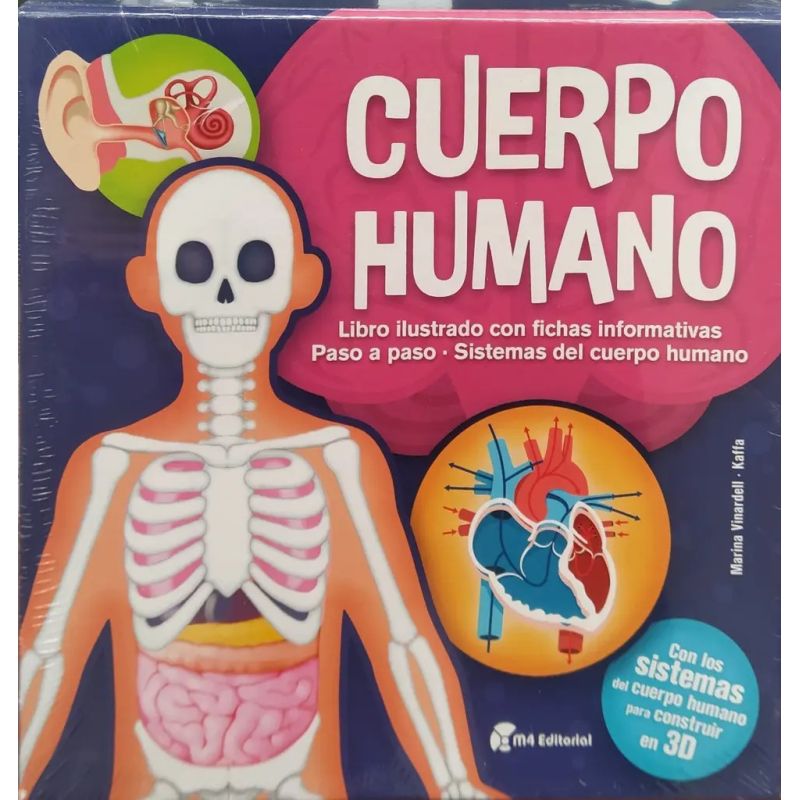 CUERPO HUMANO - KIT DE CONSTRUCCION - CARTONE (Nuevo)