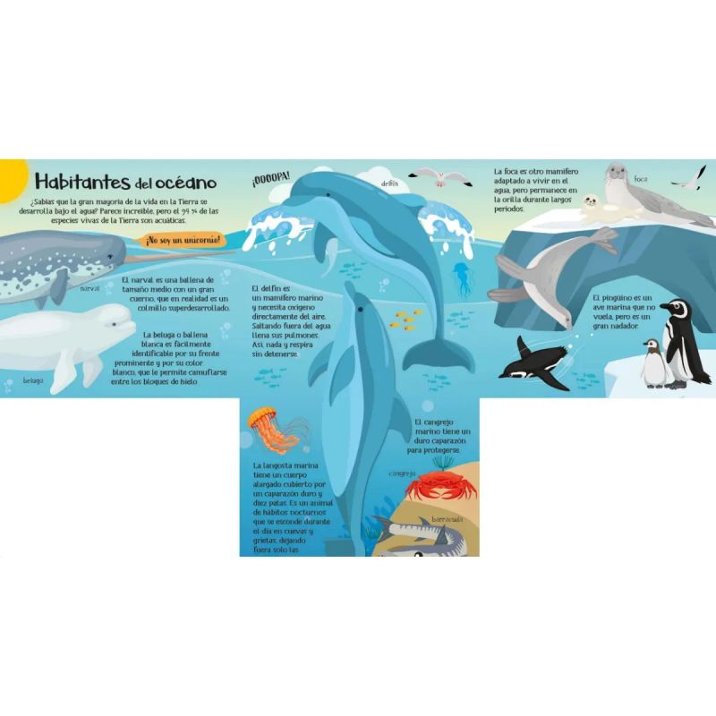 ANIMALES DEL OCEANO - DESCUBRE Y APRENDE (Nuevo) - Miniatura 2
