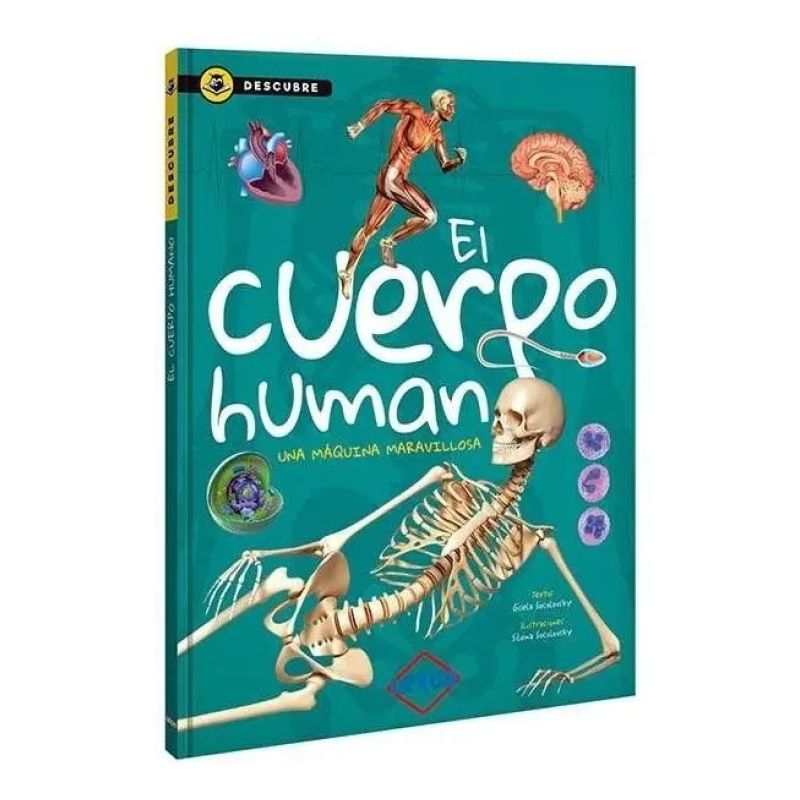 CUERPO  HUMANO, EL - UNA MAQUINA MARAVILLOSA - DESCUBRE - TD (Nuevo)