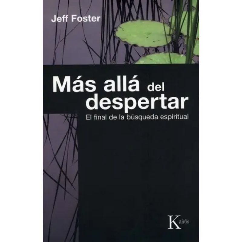 MAS ALLA DEL DESPERTAR - EL FINAL DE LA BUSQUEDA ESPIRITUAL (Nuevo)