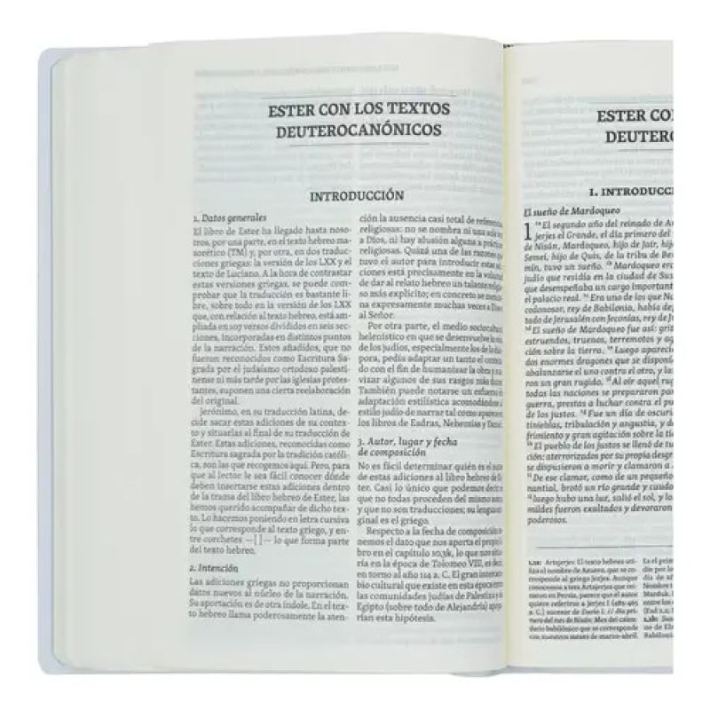 BIBLIA HISPANOAMERICANA, LA - EDICION DE ESTUDIO - TAPA VINILICA (Nuevo) - Miniatura 4