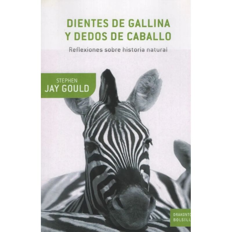 DIENTES DE GALLINA Y DEDOS DE CABALLO:REFLEXIONES SOBRE LA H (Nuevo)