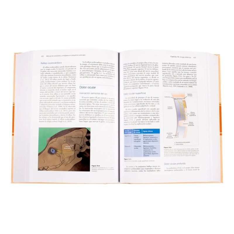 MANUAL DE ANESTESIA Y ANALGESIA EN PEQUEÑOS ANIMALES - TD (Nuevo) - Miniatura 2