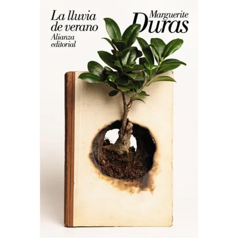 LLUVIA DE VERANO, LA (Nuevo)