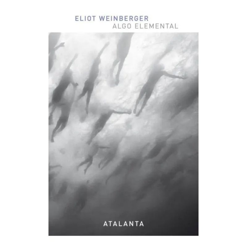 ALGO ELEMENTAL (Nuevo)