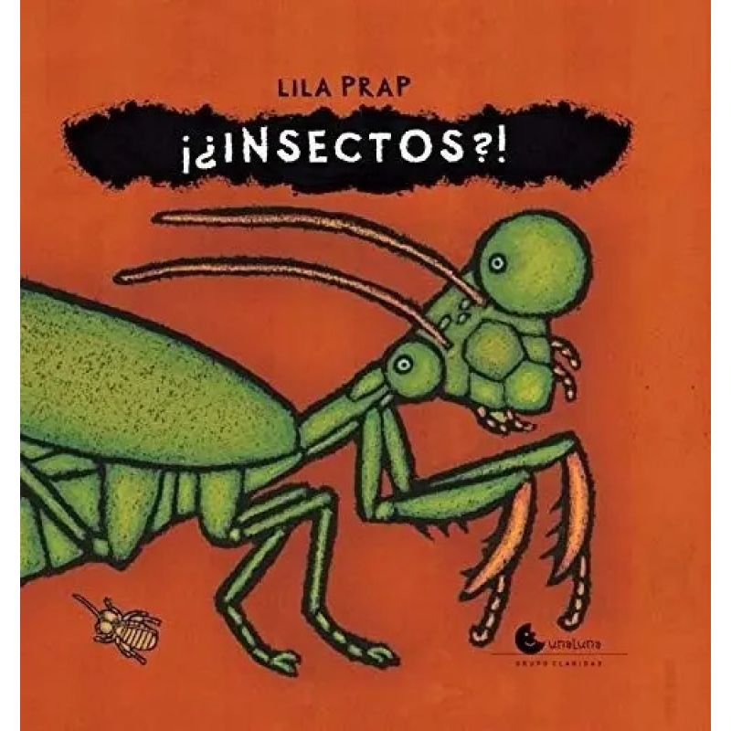 INSECTOS ? (Nuevo)