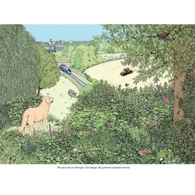CASA EN EL BOSQUE, LA (Nuevo) - Miniatura 2