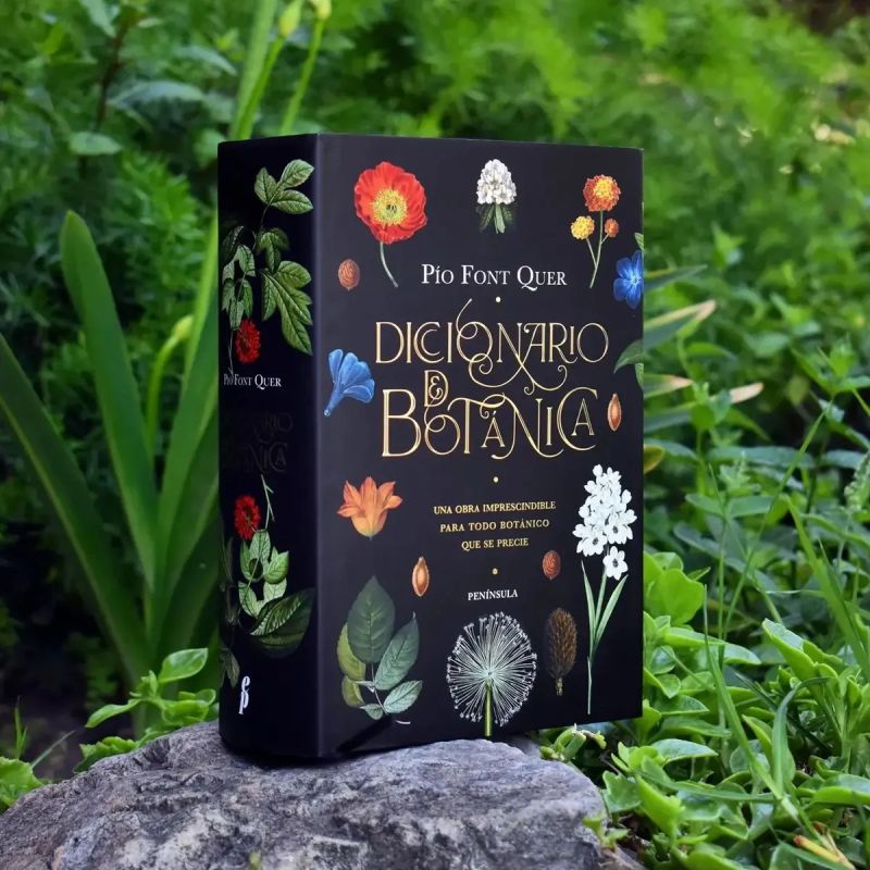 PENINSULA DICCIONARIO DE BOTANICA - TD (Nuevo) - Miniatura 2