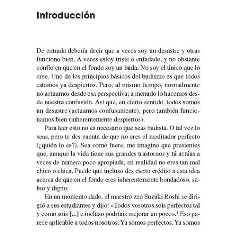 CAMINA COMO UN BUDA - AUNQUE ESTES DE RESACA, TU JEFE TE AGOBIE Y TU EX TE TORTURE (Nuevo) - Miniatura 3