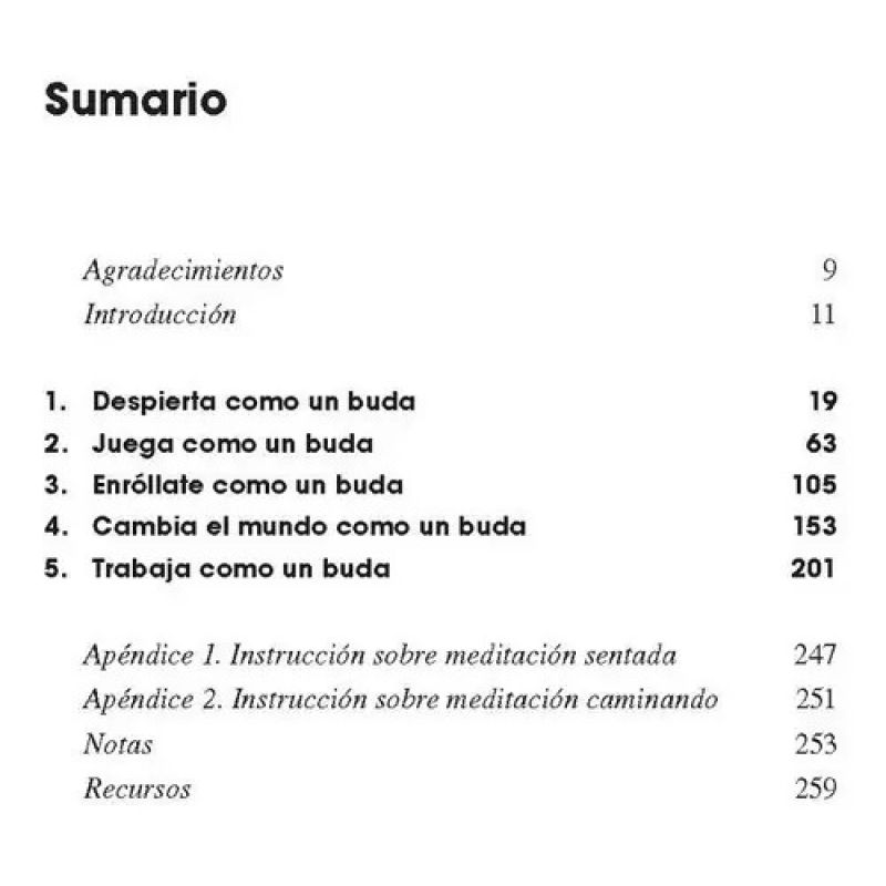CAMINA COMO UN BUDA - AUNQUE ESTES DE RESACA, TU JEFE TE AGOBIE Y TU EX TE TORTURE (Nuevo) - Miniatura 2