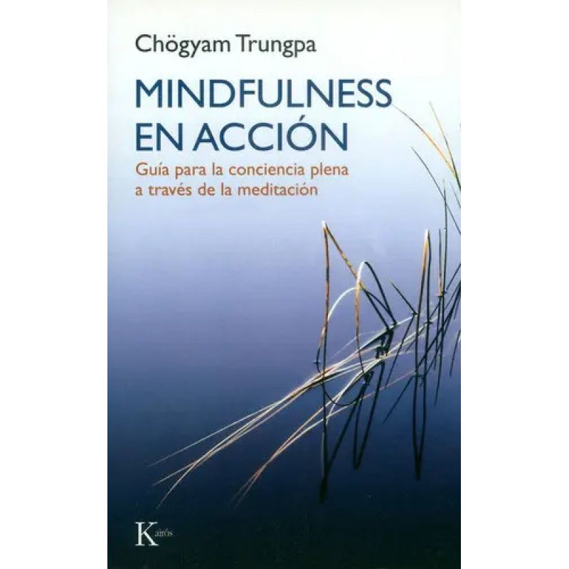 MINDFULNESS EN ACCION - GUIA PARA LA CONCIENCIA PLENA A TRAVES DE LA MEDITACION (Nuevo)