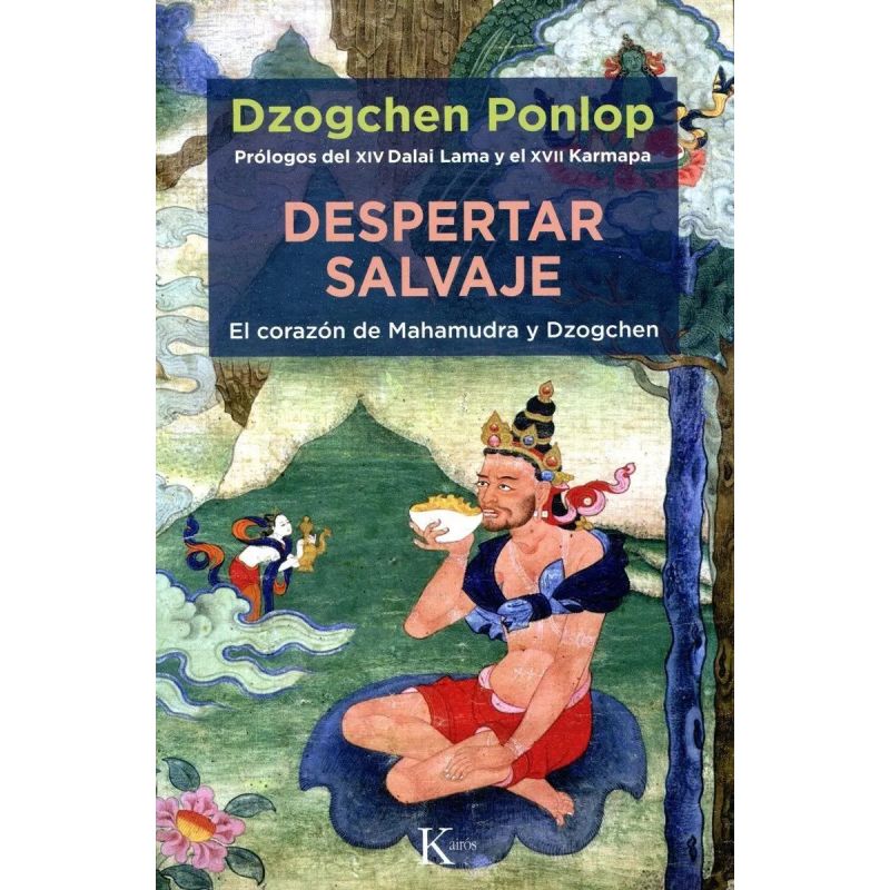 DESPERTAR SALVAJE - EL CORAZON DE MAHAMUDRA Y DZOGCHEN (Nuevo)