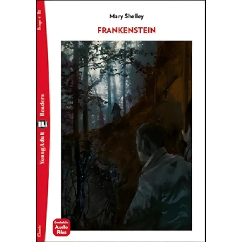 FRANKENSTEIN - YOUNG ADULT HUB READERS 4 (B2) (Nuevo)
