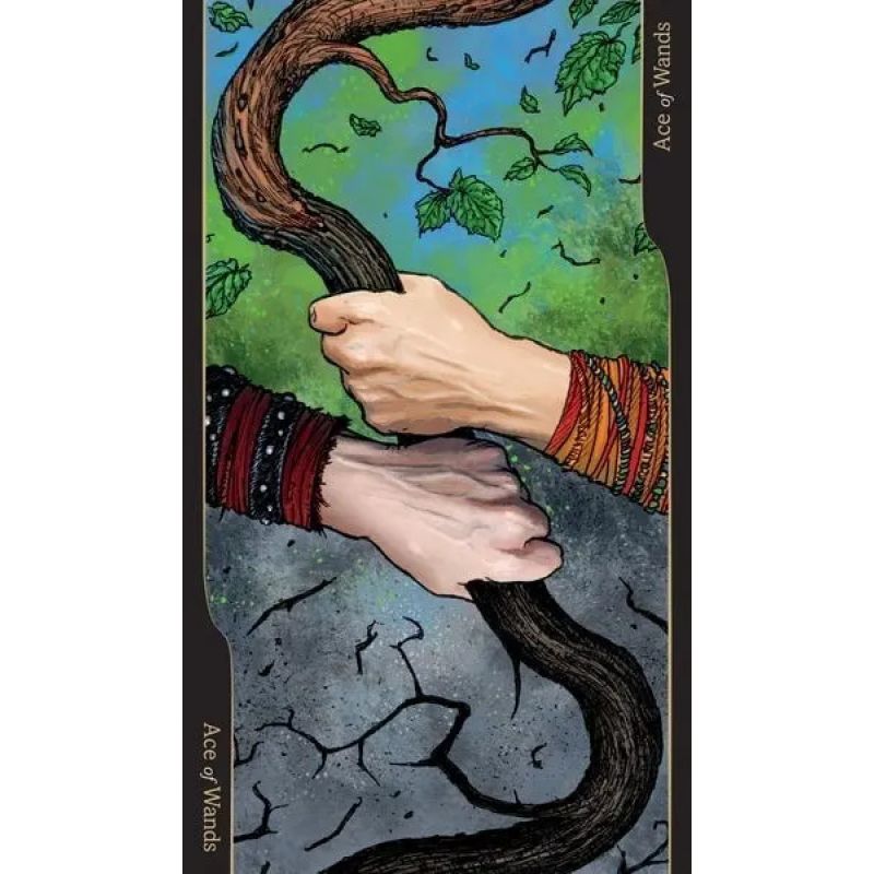 TAROT OF OPPOSITIONS - LIBRO + CARTAS (Nuevo) - Miniatura 5