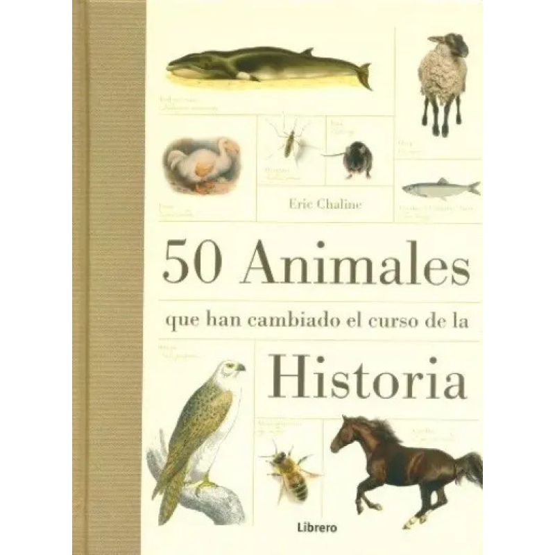 50 ANIMALES QUE HAN CAMBIADO EL CURSO DE LA HISTORIA - TD (Nuevo)