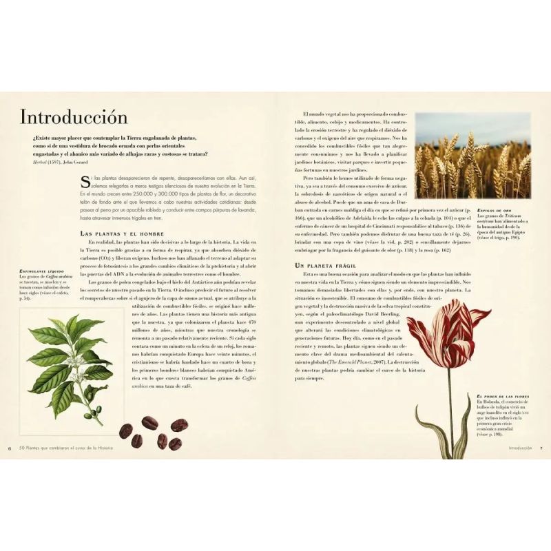 50 PLANTAS QUE HAN CAMBIADO EL CURSO DE LA HISTORIA (Nuevo) - Miniatura 2