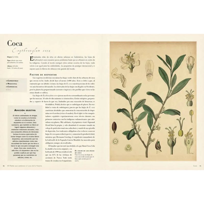 50 PLANTAS QUE HAN CAMBIADO EL CURSO DE LA HISTORIA (Nuevo) - Miniatura 4