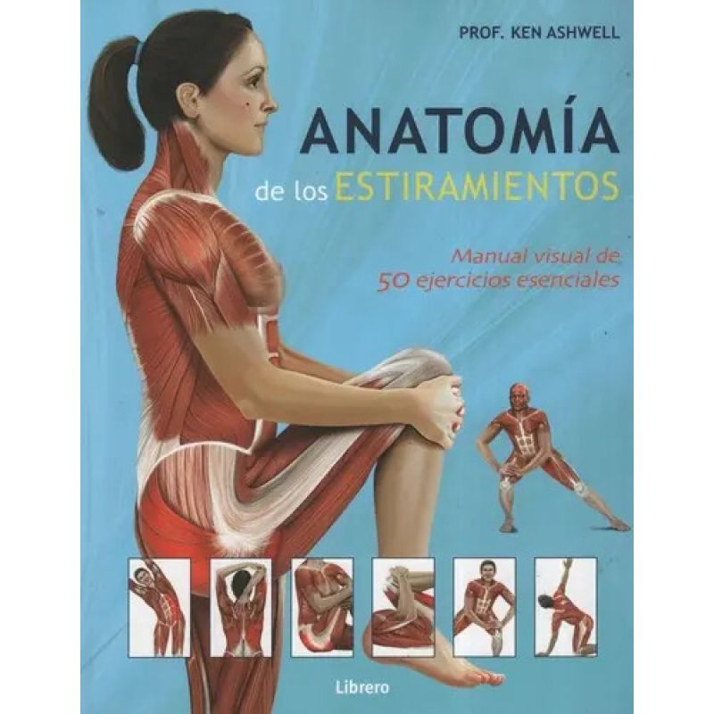ANATOMIA DE LOS ESTIRAMIENTOS (Nuevo)