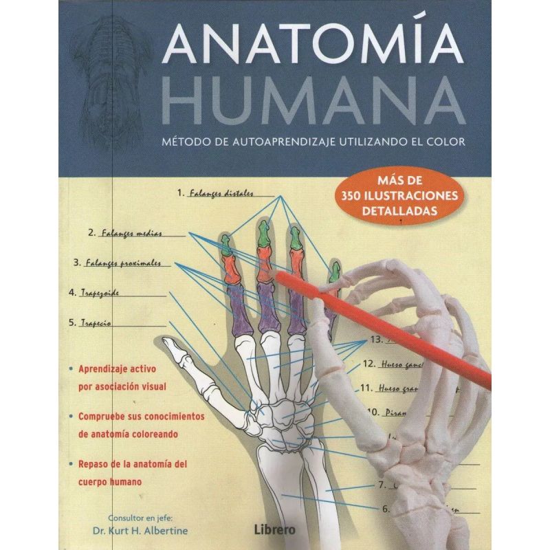 ANATOMIA HUMANA (Nuevo) - Miniatura 2