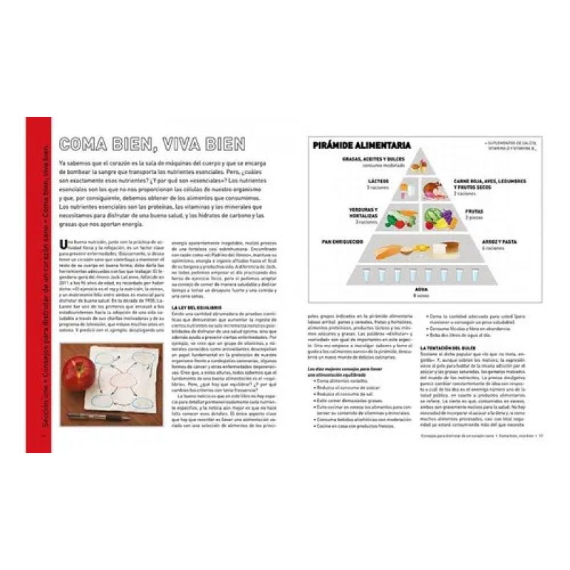 ANATOMIA DEL CORAZON (Nuevo) - Miniatura 2