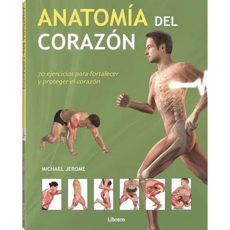 ANATOMIA DEL CORAZON (Nuevo)