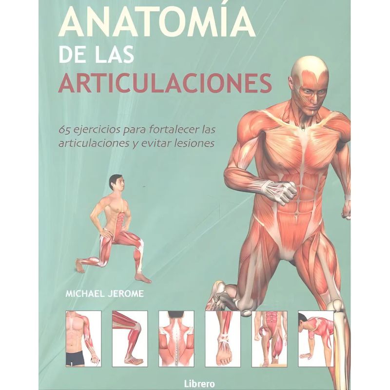 ANATOMIA DE LAS ARTICULACIONES (Nuevo)