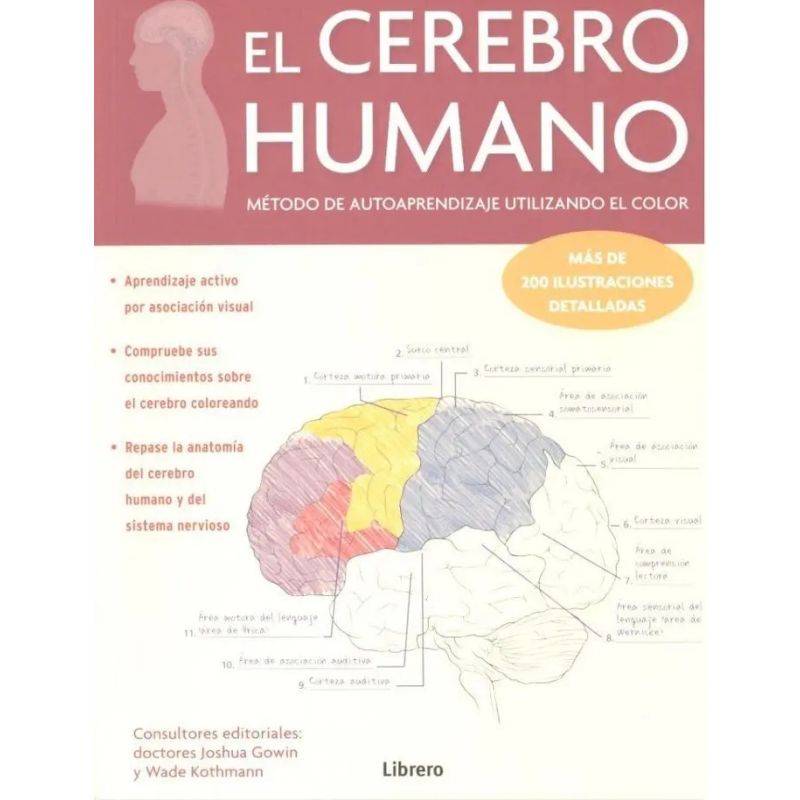 CEREBRO HUMANO, EL (Nuevo)