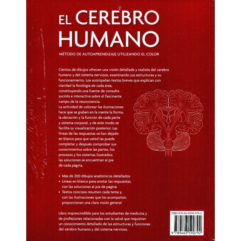 CEREBRO HUMANO, EL (Nuevo) - Miniatura 2