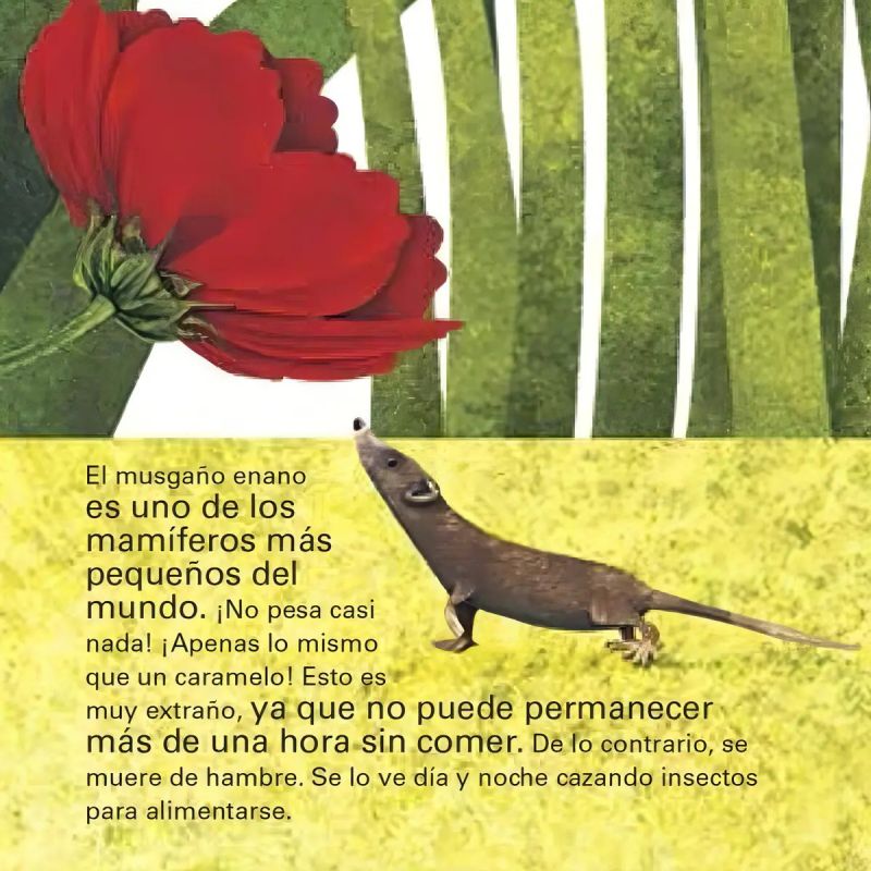 MEGALIBRO DE ANIMALES GIGANTES. MINILIBRO DE ANIMALES PEQUEÑOS - CARTONE ACOLCHADO (Nuevo) - Miniatura 3